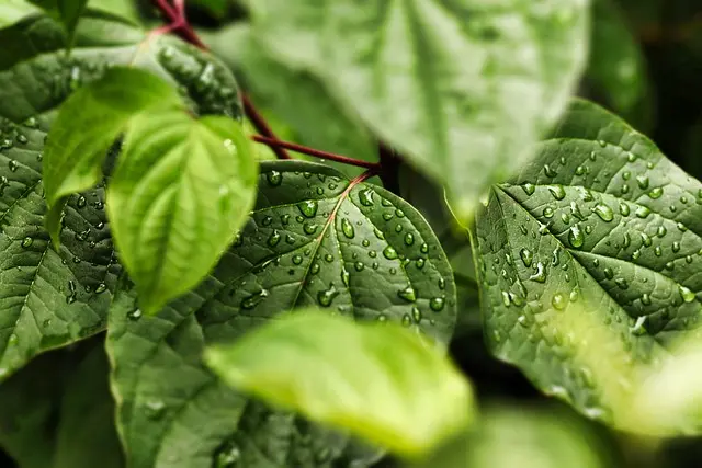Best Eco-Friendly Home Gadgets: Sustainable Living Guide