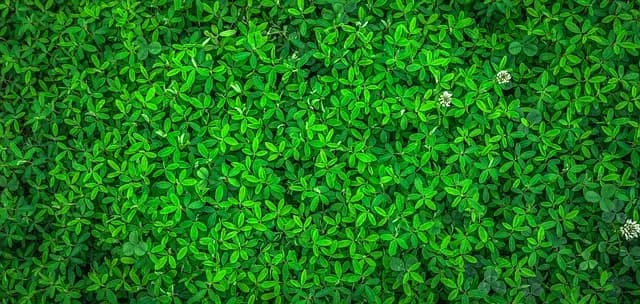 Best Eco-Friendly Home Gadgets: Your Ultimate Buying Guide